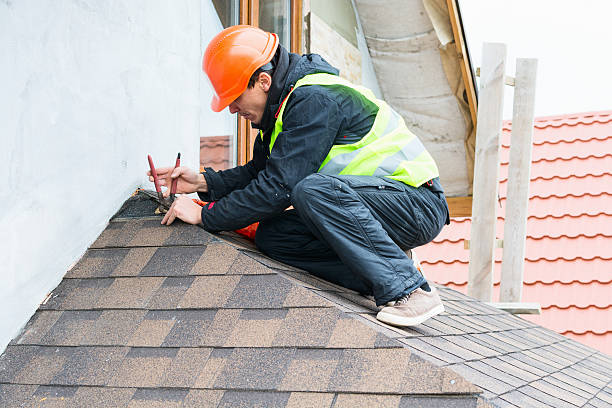 Best Roof Gutter Cleaning  in Mullica Hill, NJ